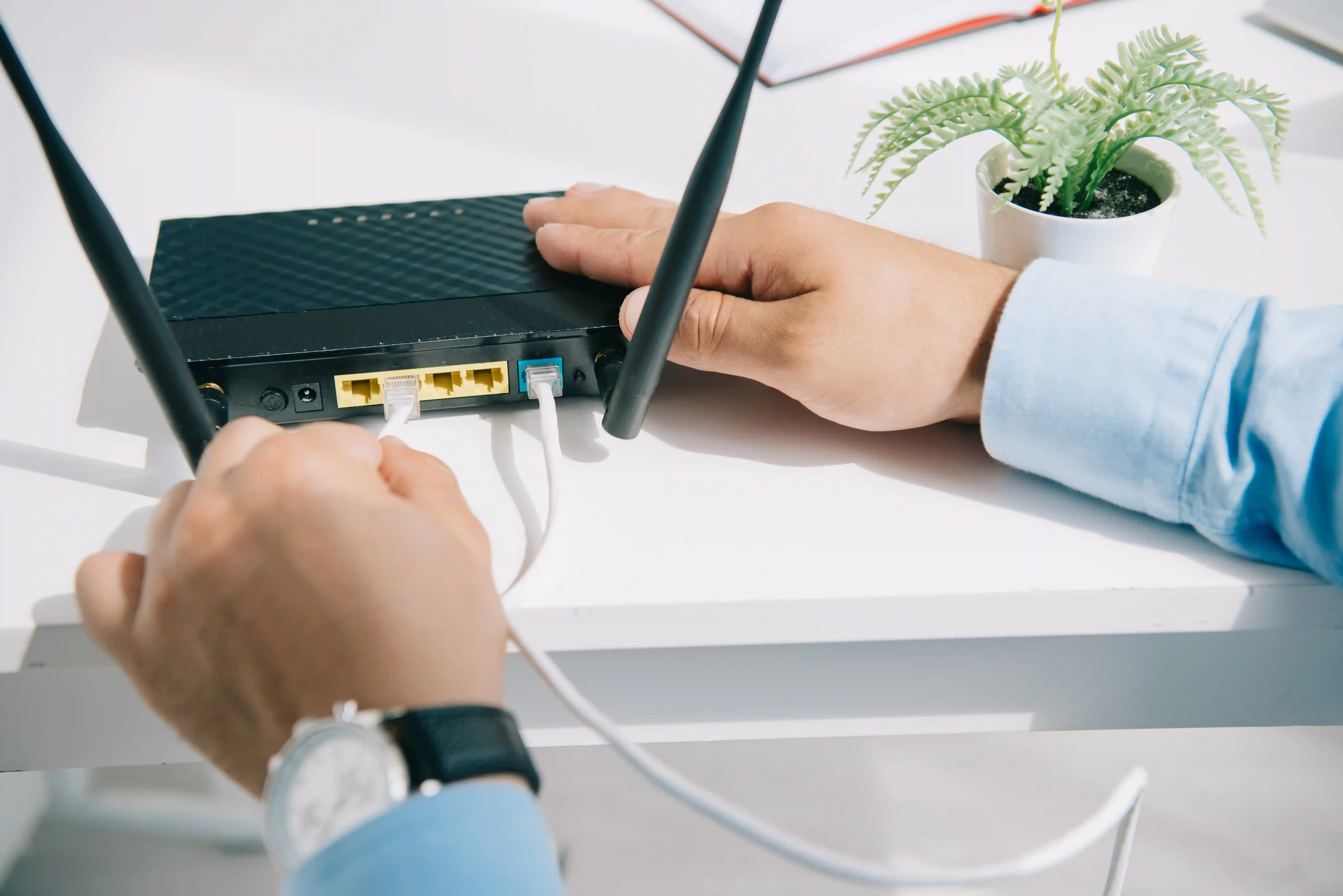 DrayTek Router Crashes: What you need to know & how to stay protected.